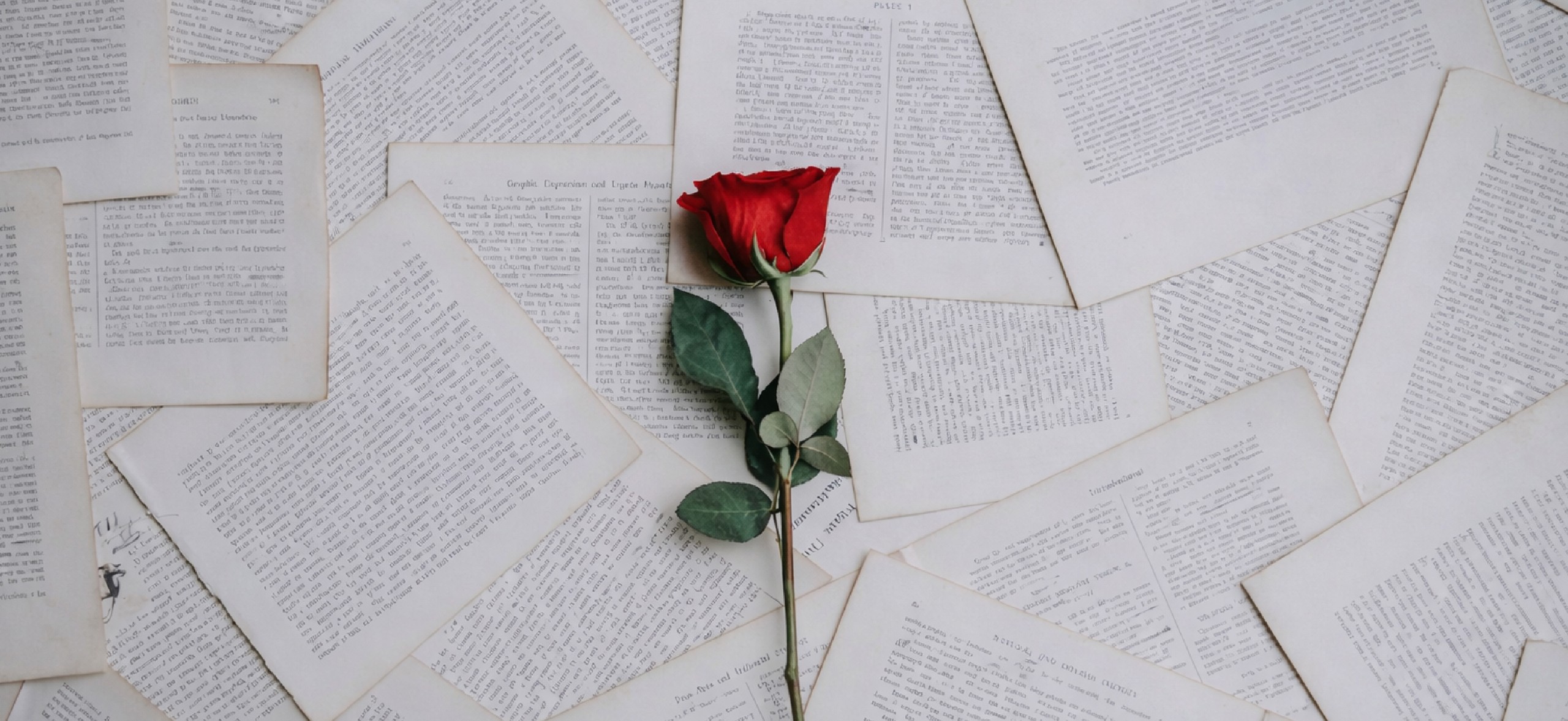 seis poemas de Dionisia García Poesía poeta